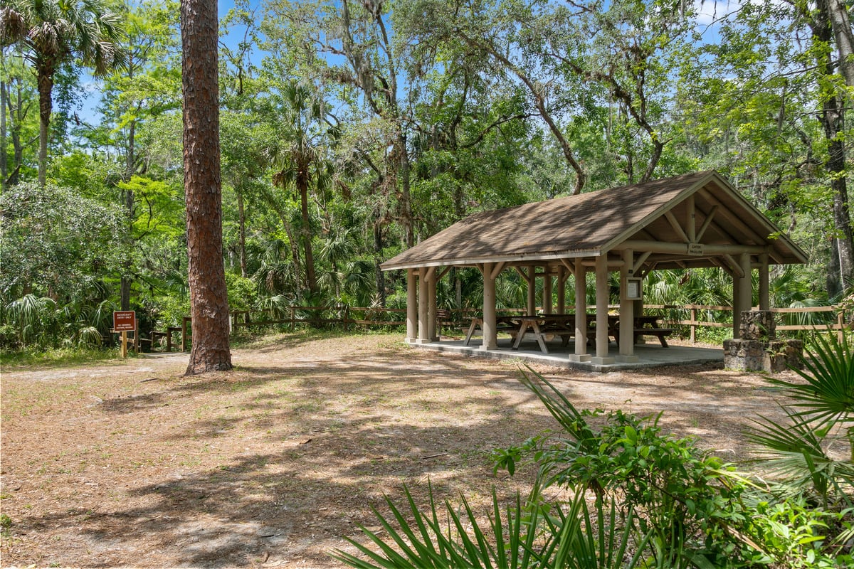A 5-minute drive to Hillsborough River State Park