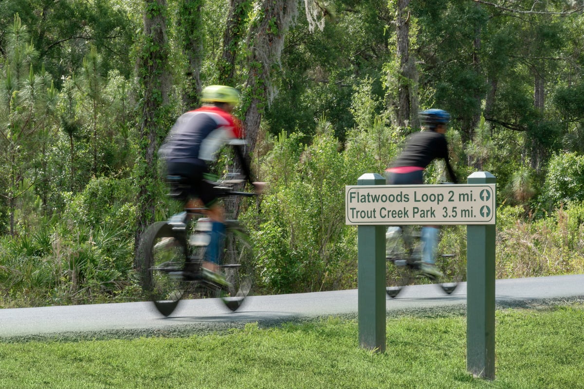 An easy drive to Flatwoods Park