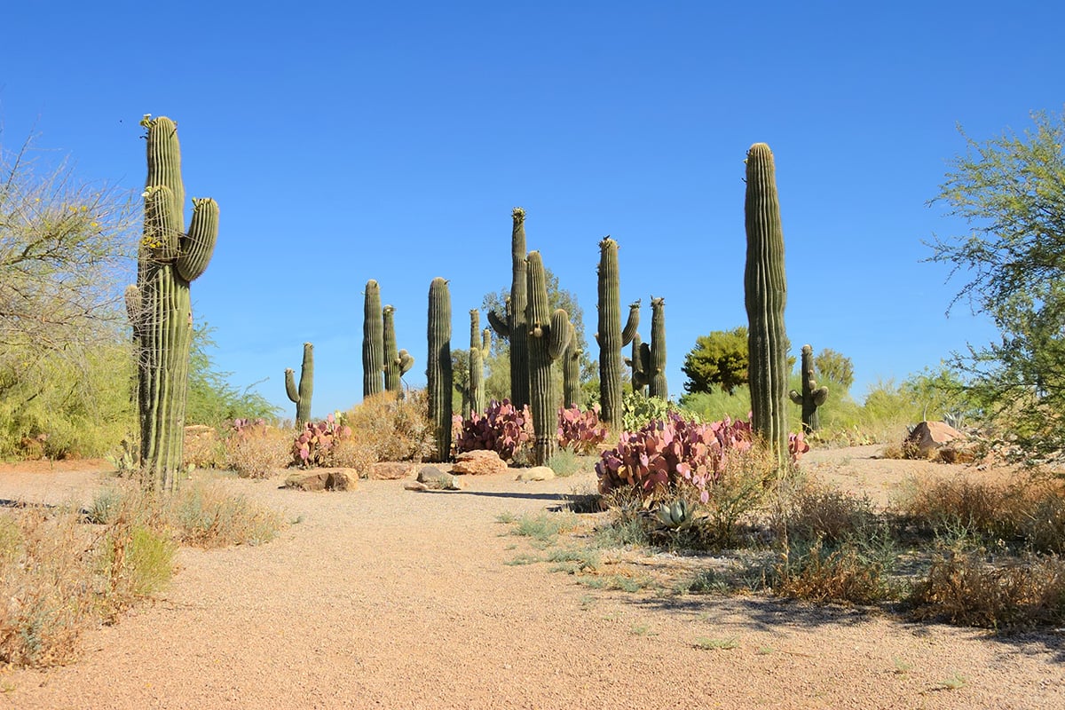 Just minutes away from local hiking trails