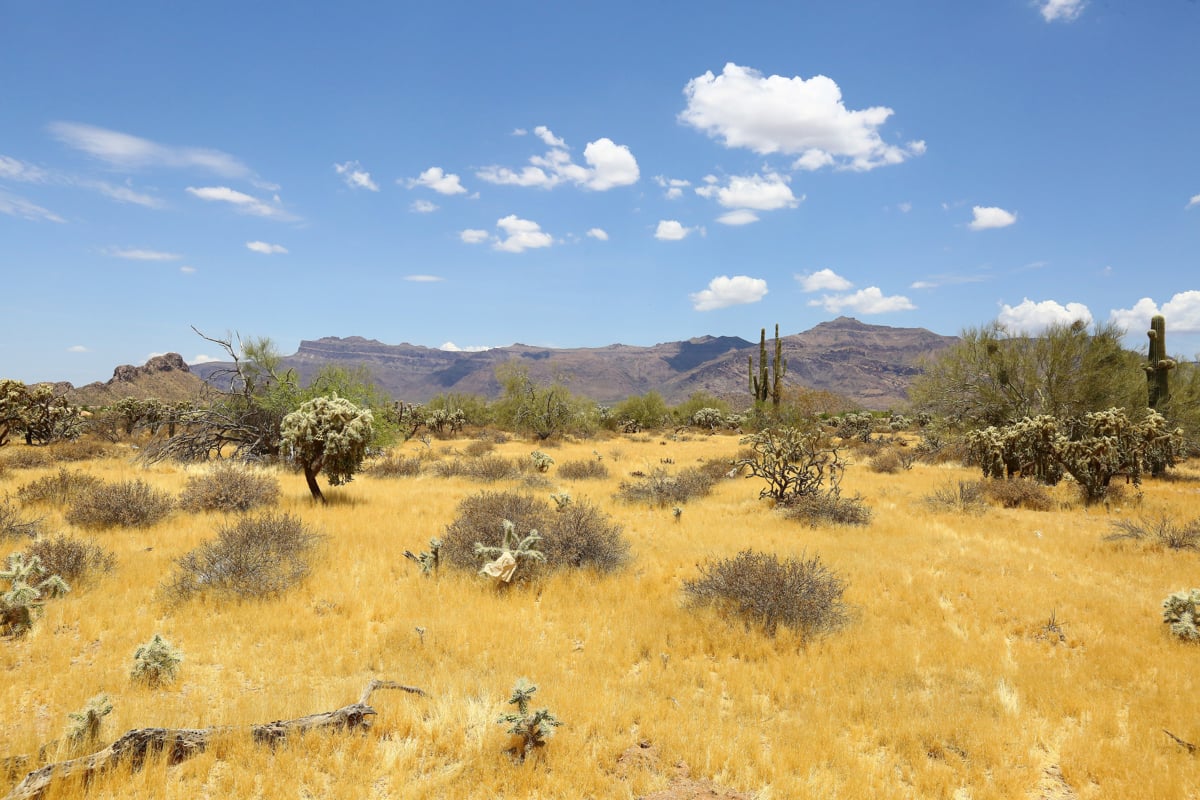 Near local hiking with stunning desert views