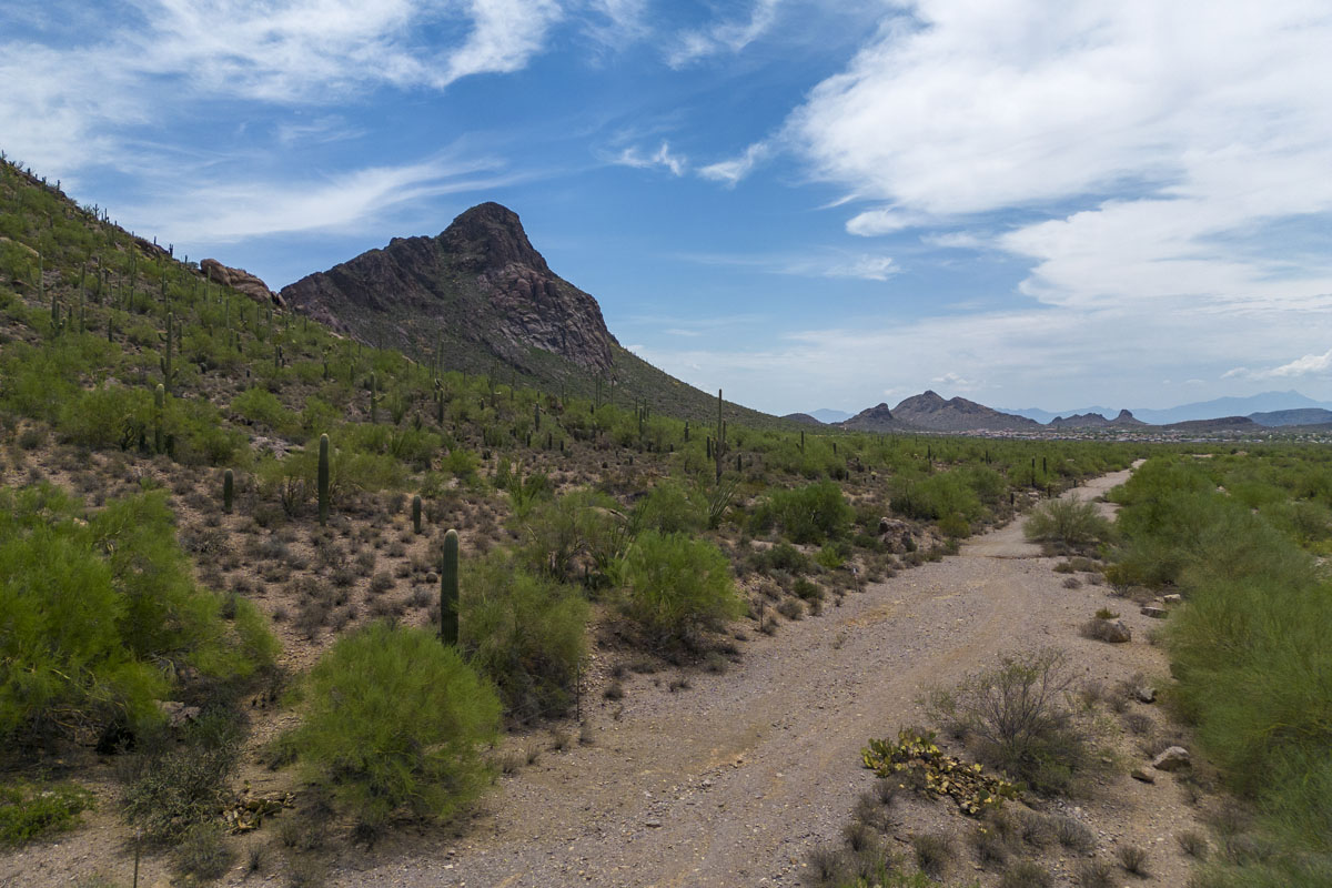 Near Tucson Mountain Park