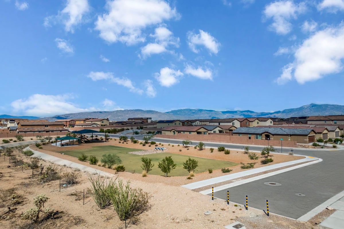 Community park