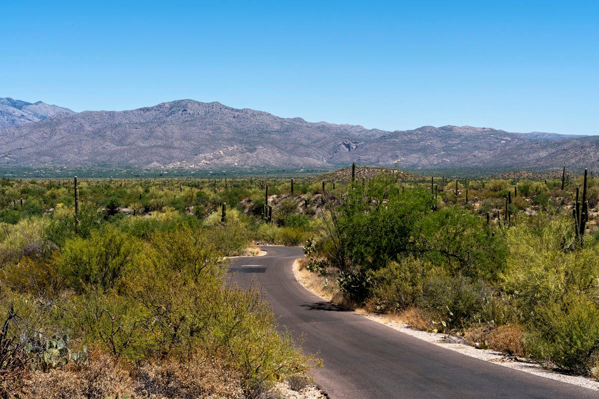 Saguaro National Park East