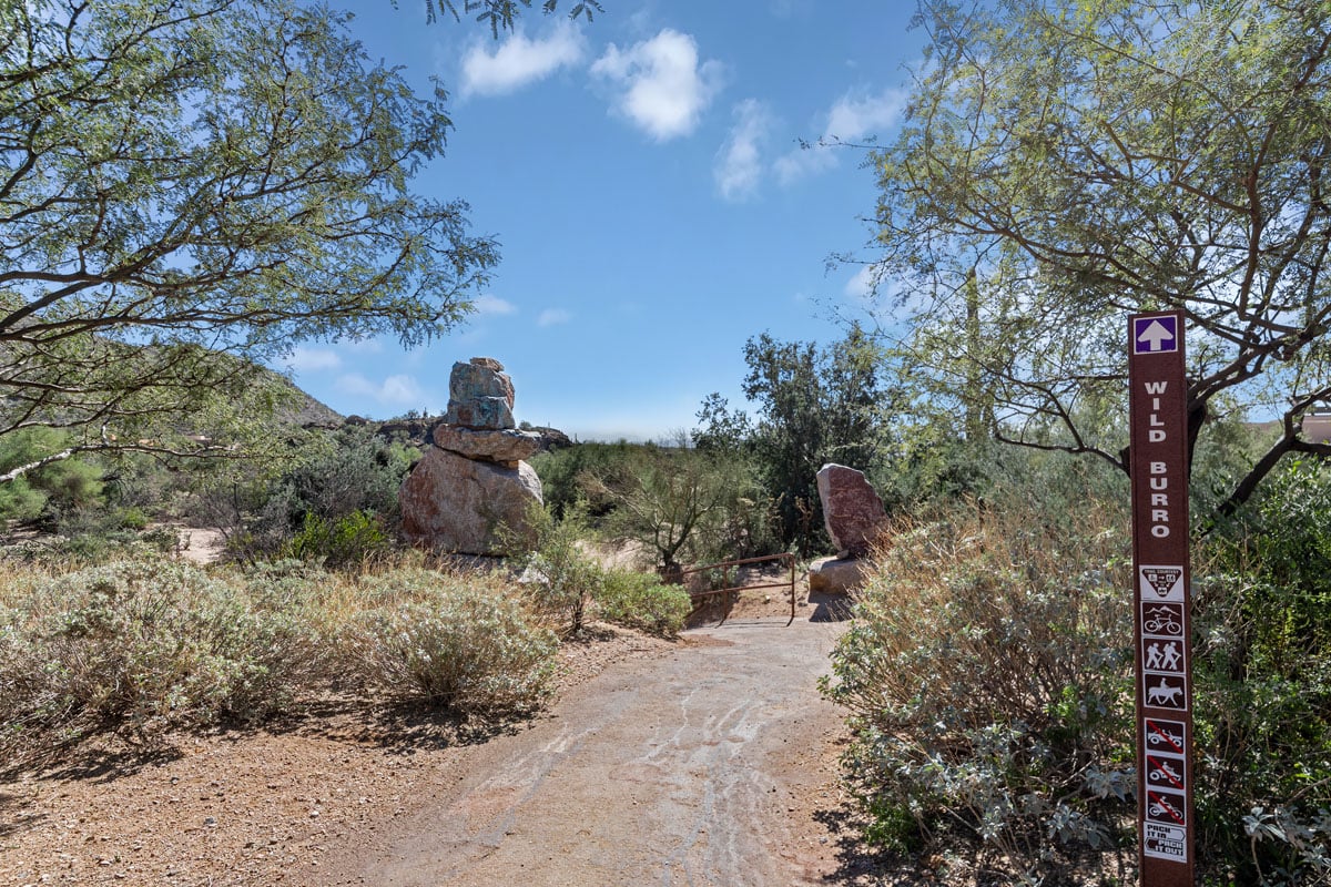 Close to hiking, biking and horseback riding at Wild Burro Trailhead