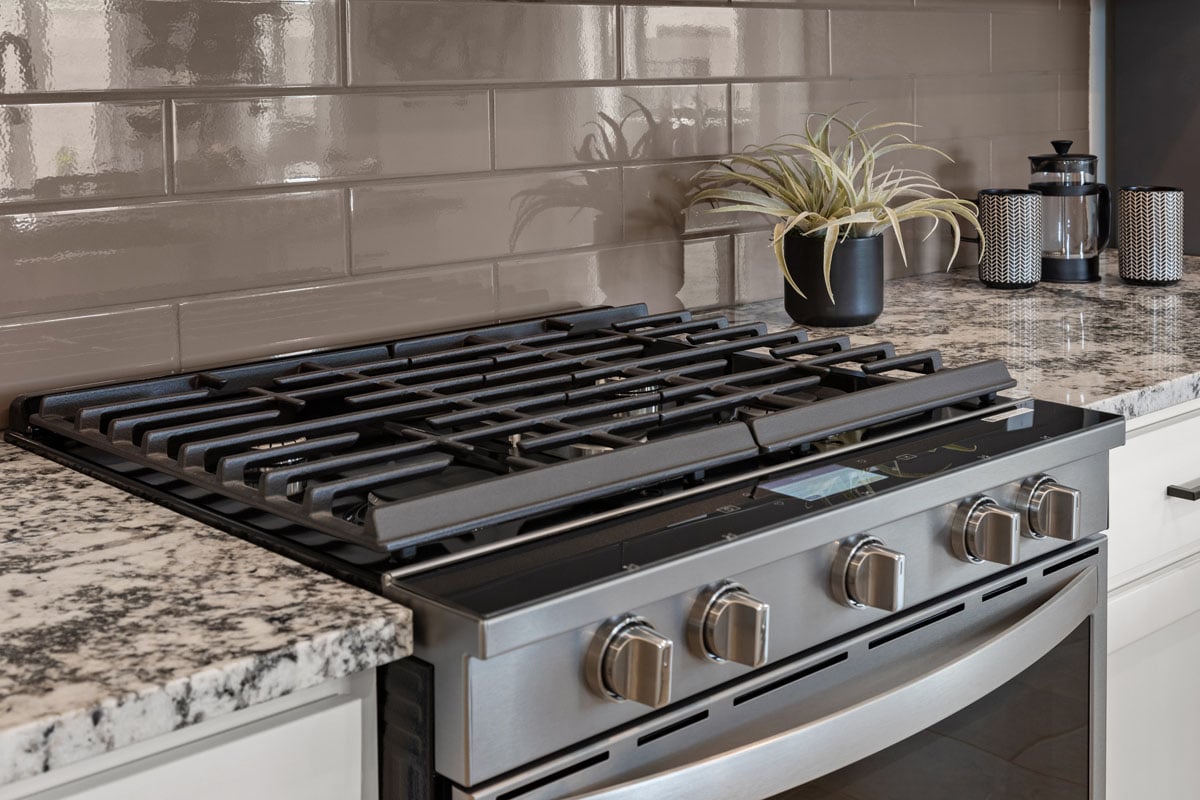 Stainless steel gas range