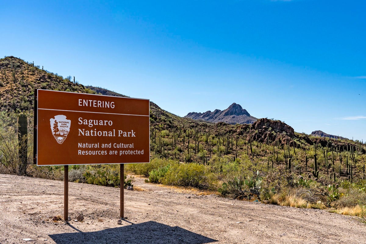 Near hiking and biking at Saguaro National Park