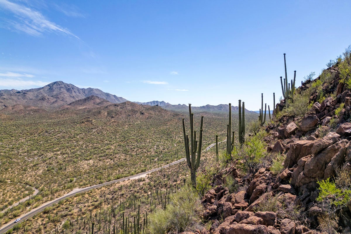 Saguaro National Park