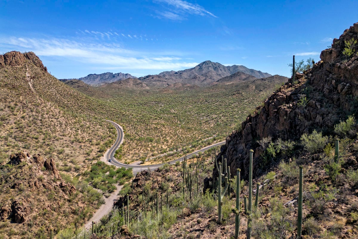 Saguaro National Park