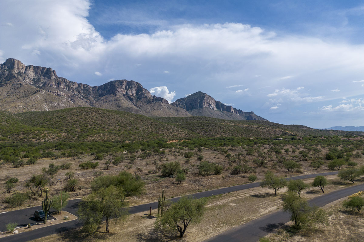 Less than 8 miles to Catalina State Park