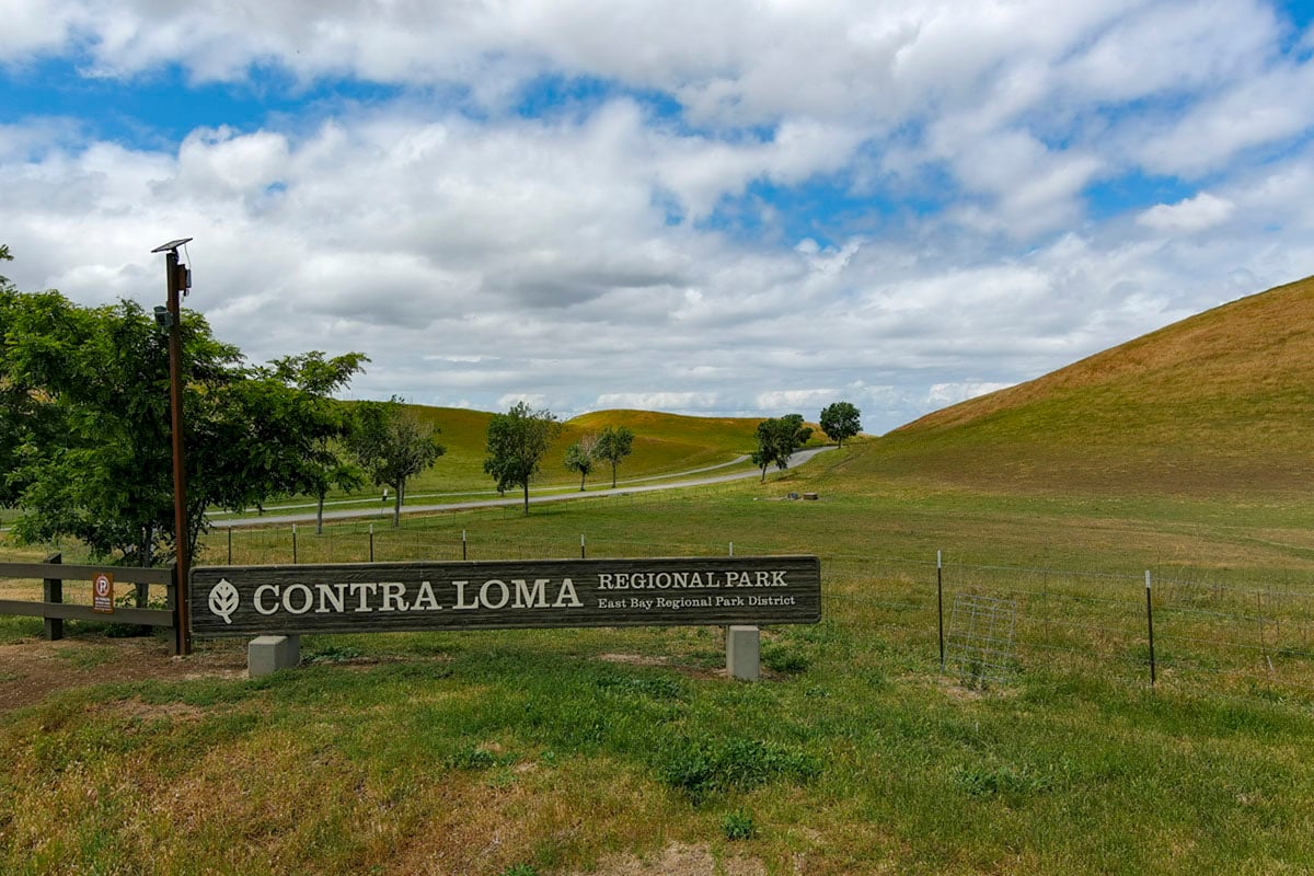 Only 10 minutes to Contra Loma Regional Park
