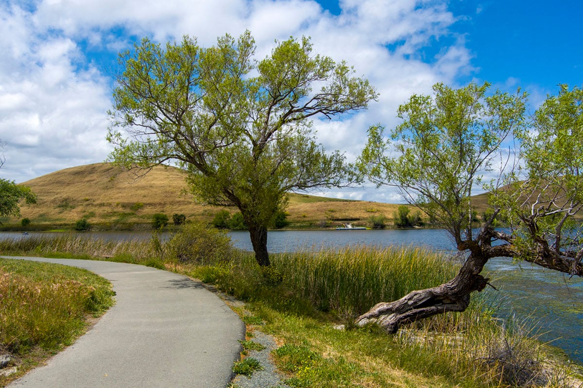 Close to Contra Loma Regional Park