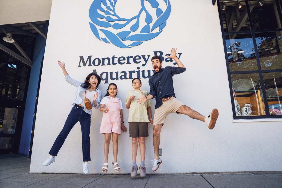 Short drive to Monterey Bay Aquarium