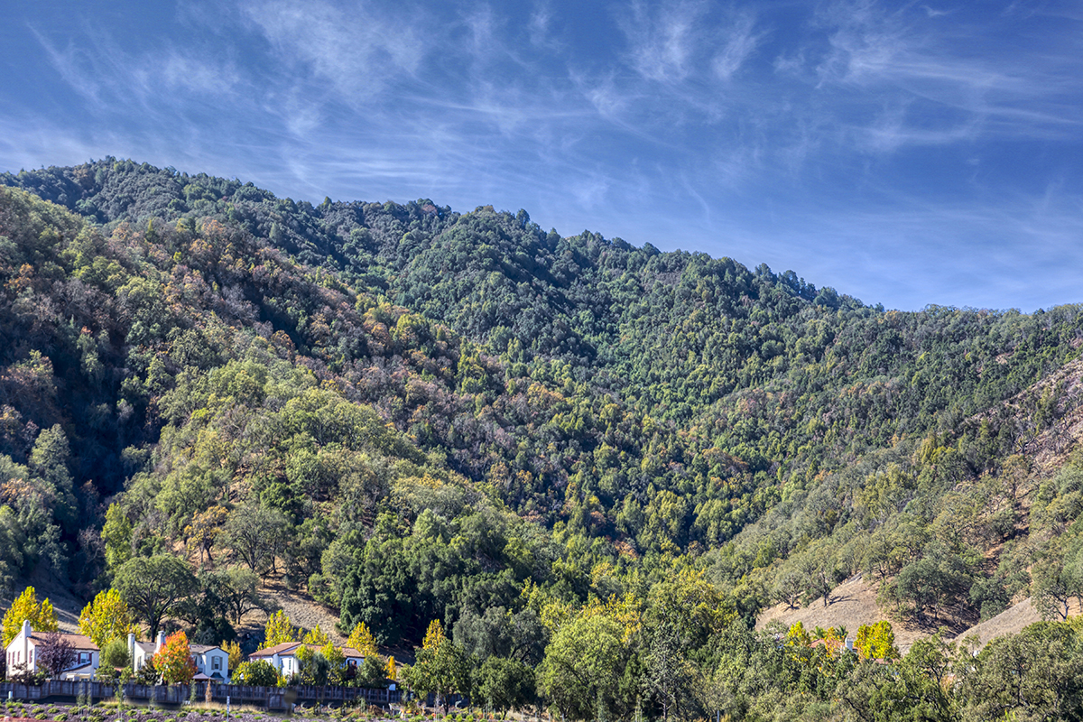 Close to the Gilroy foothills