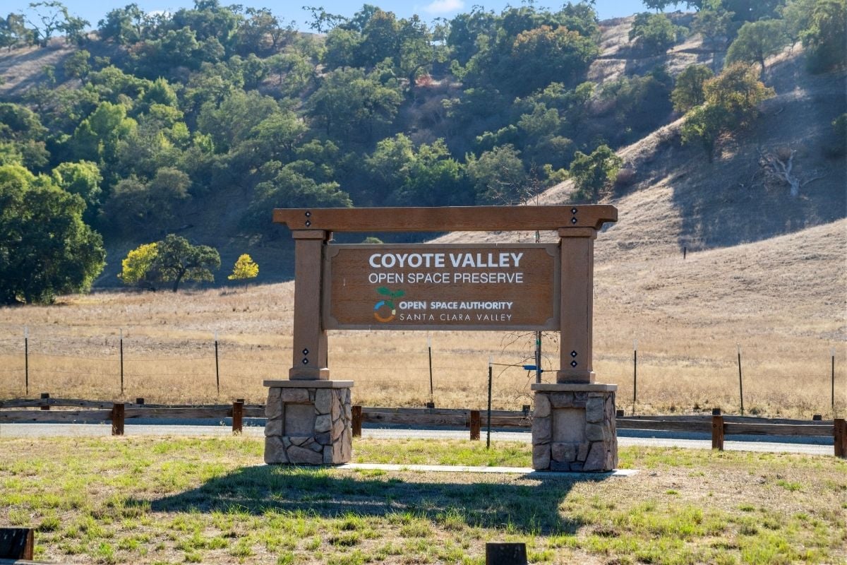 Hiking nearby at Coyote Valley Open Space Preserve