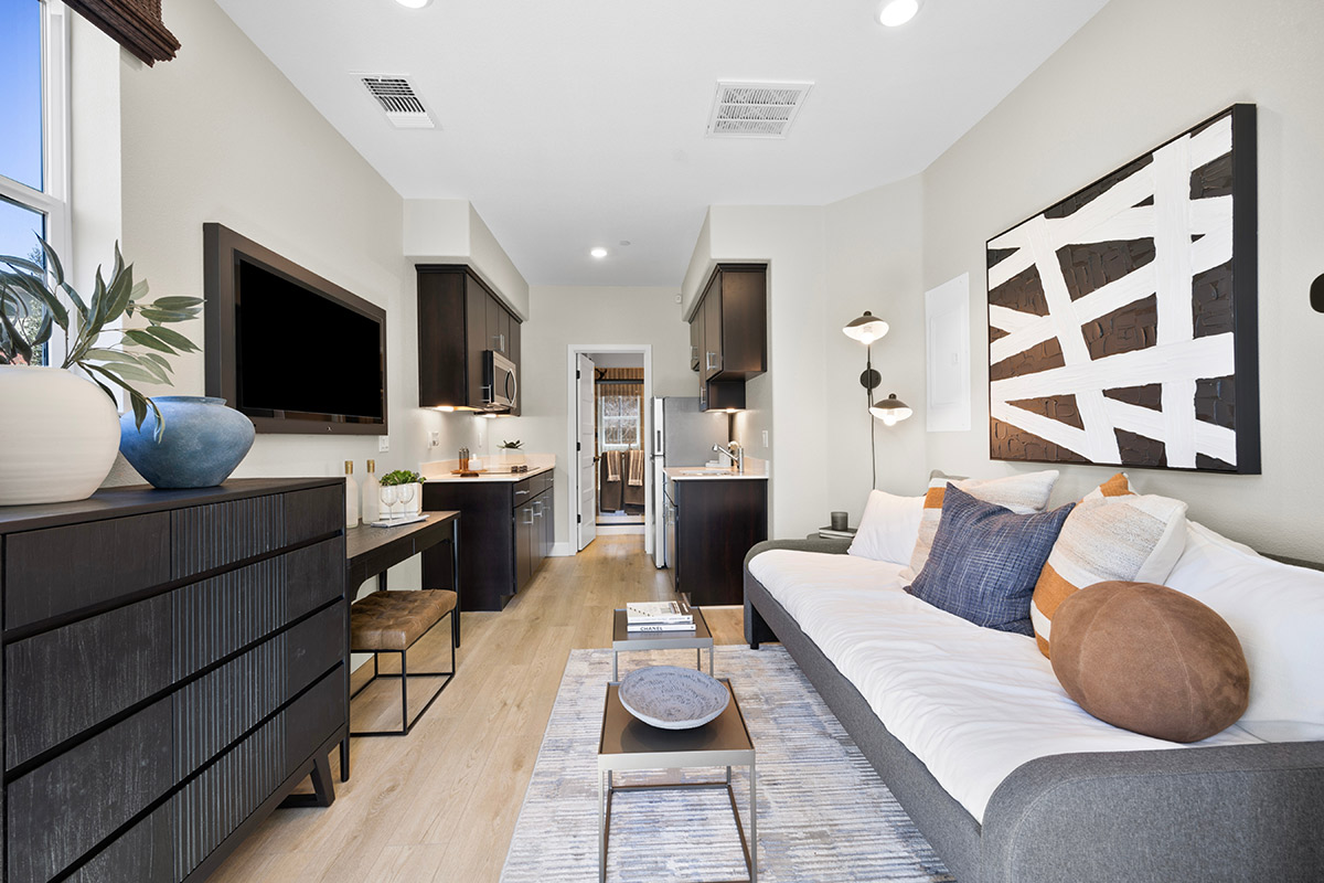 ADU great room