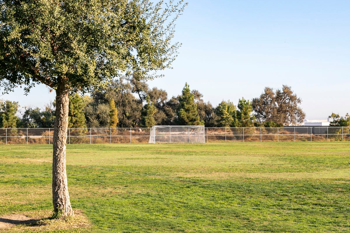 Near sports fields at River Bluff Regional Park