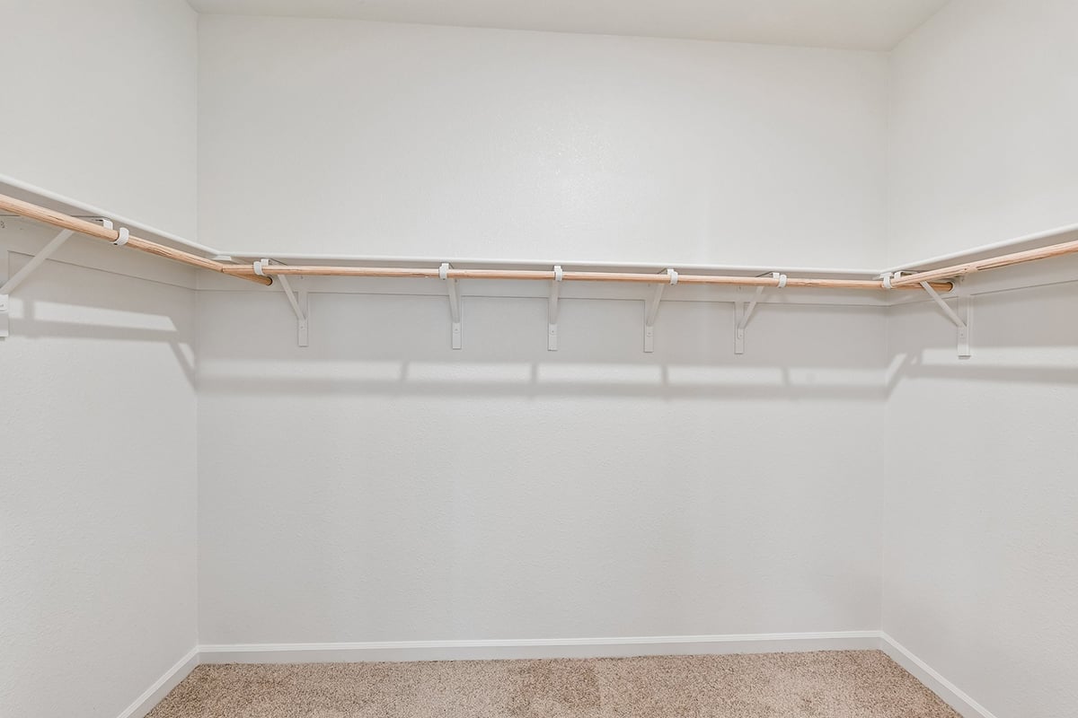 Primary walk-in closet