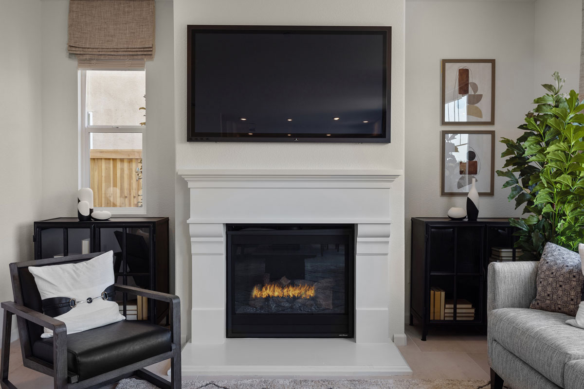 Gas fireplace