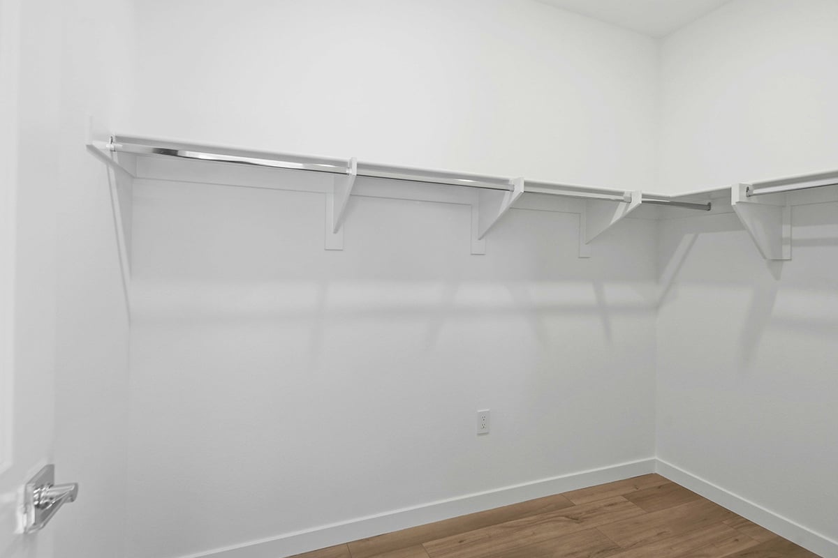 Primary walk-in closet