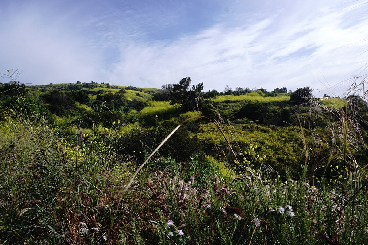 Short drive to Arroyo Pescadero and San Miguel Trails