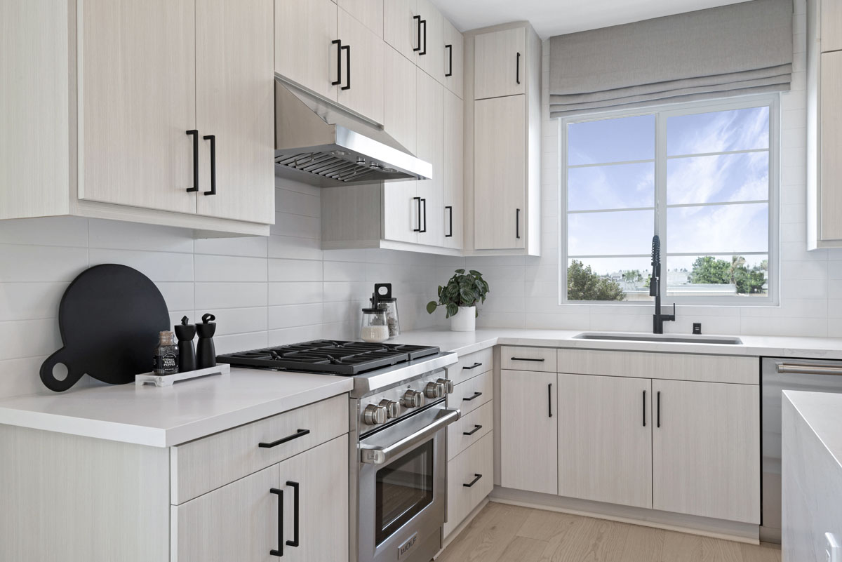 Stainless steel kitchen appliances