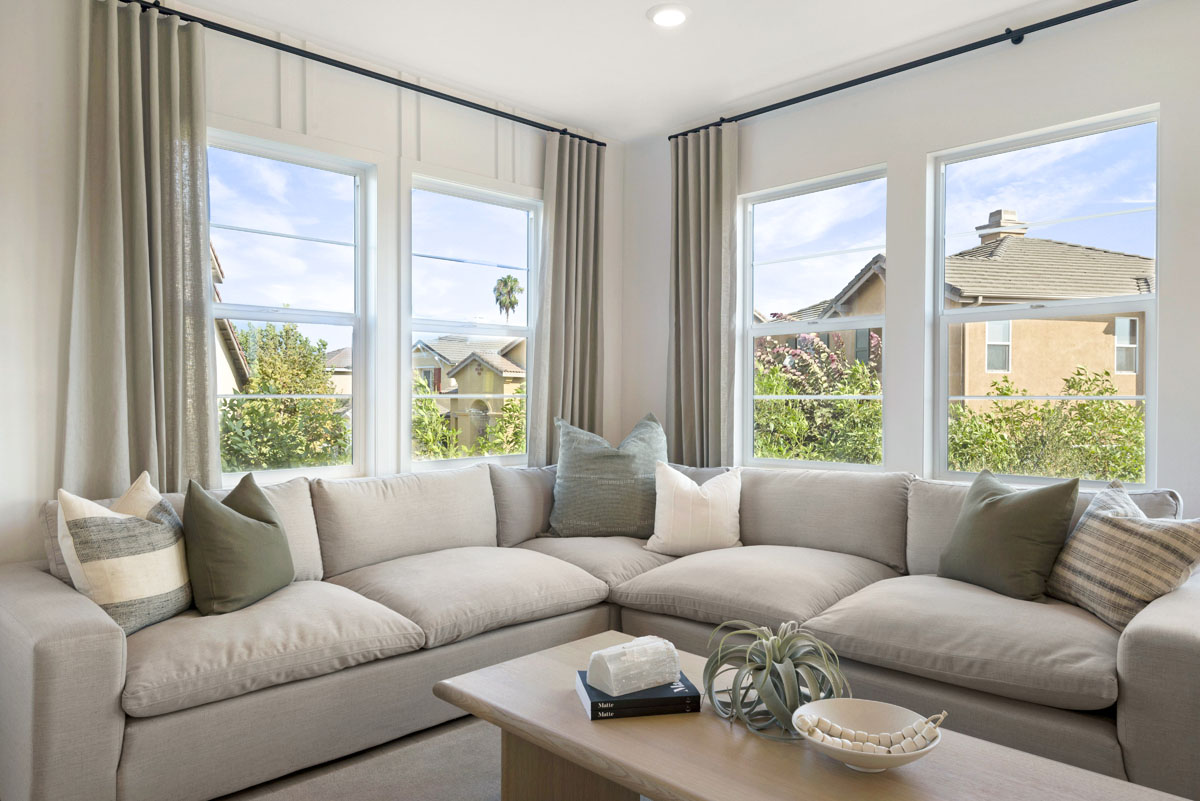 Double-pane low-E windows