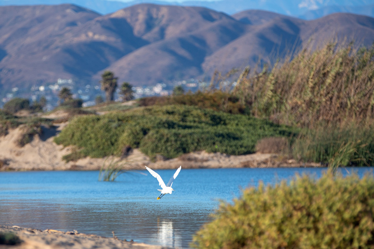 Just minutes to Santa Clara River