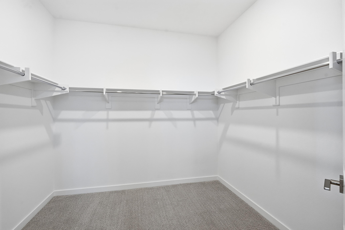 Primary walk-in closet