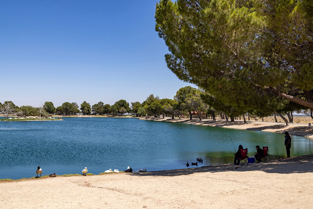 Apollo Community Regional Park nearby