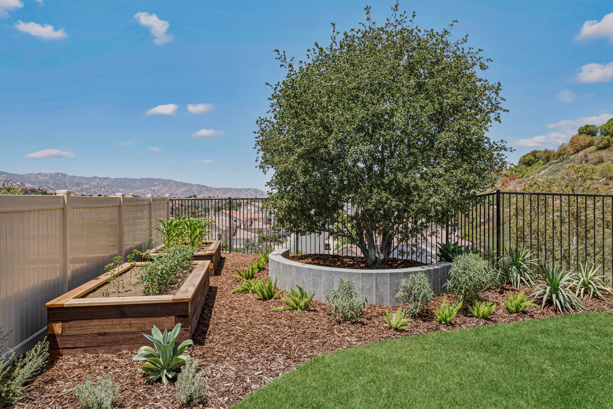 Landscaped and fenced backyard