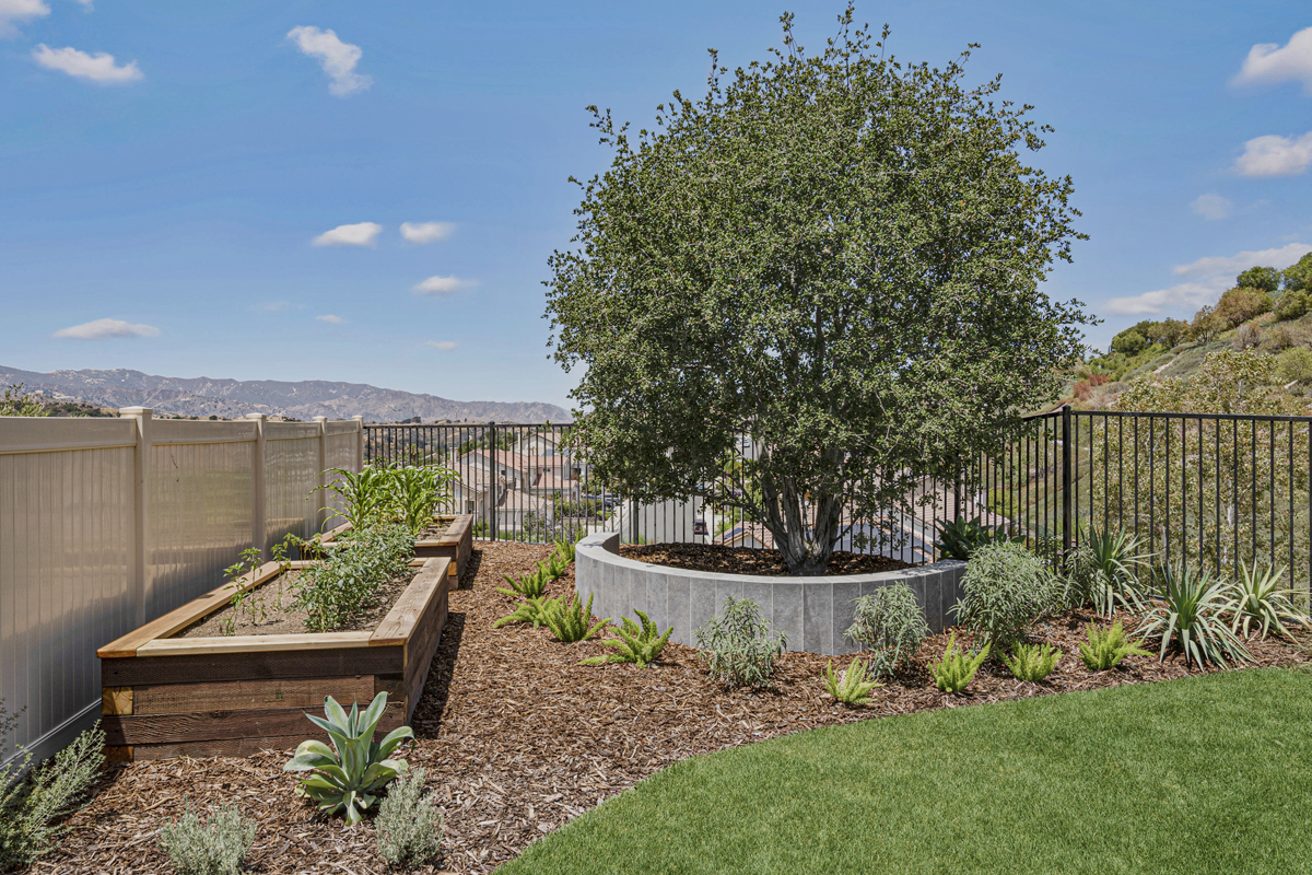 Landscaped and fenced backyard