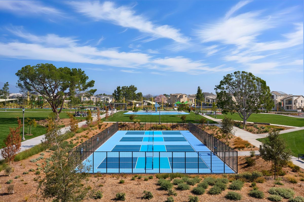 Community pickleball courts