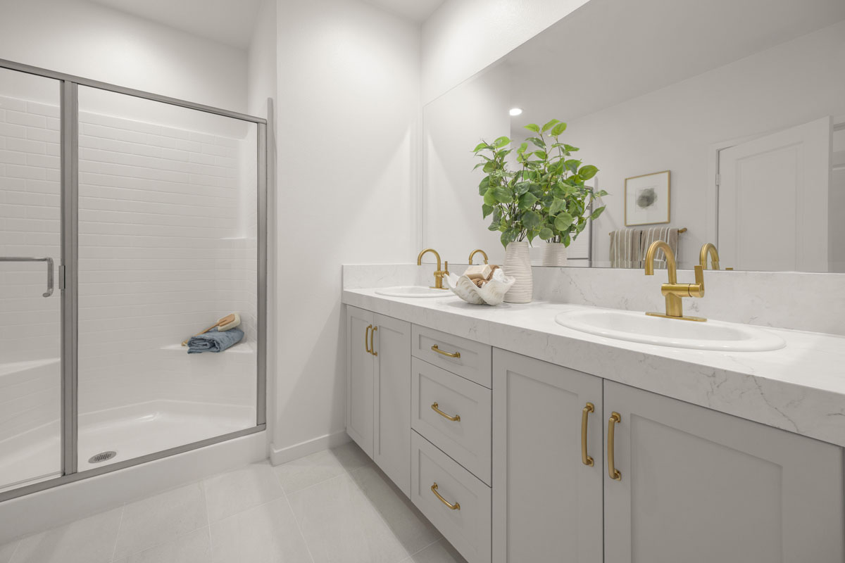 Walk-in shower at primary bath