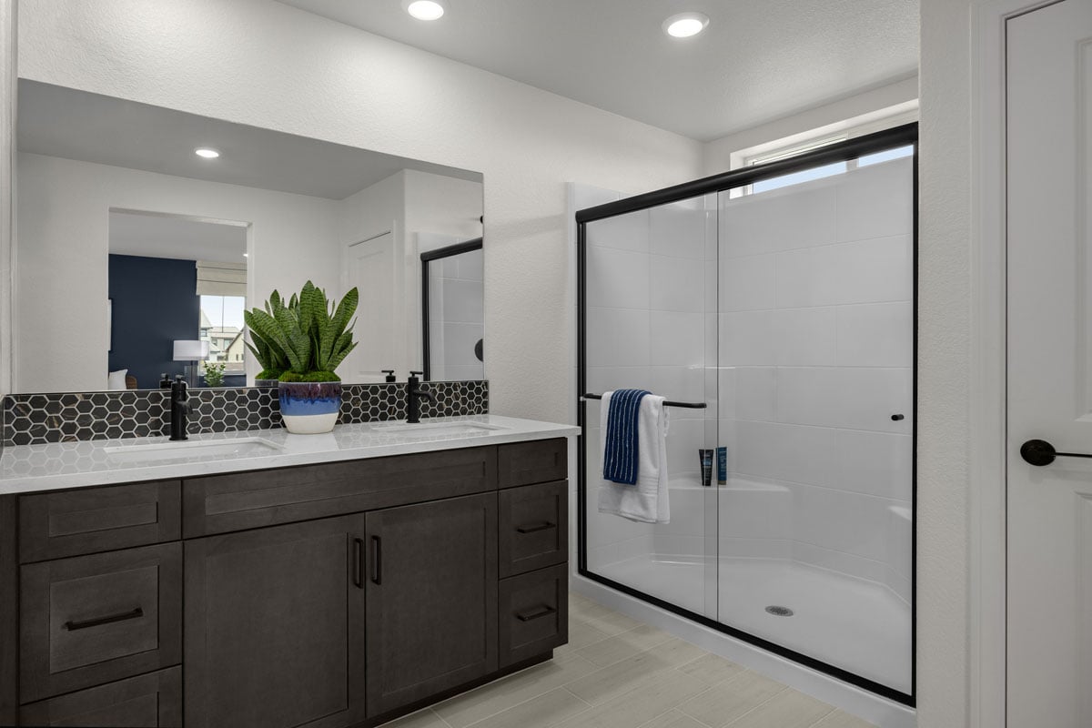 Walk-in shower at primary bath