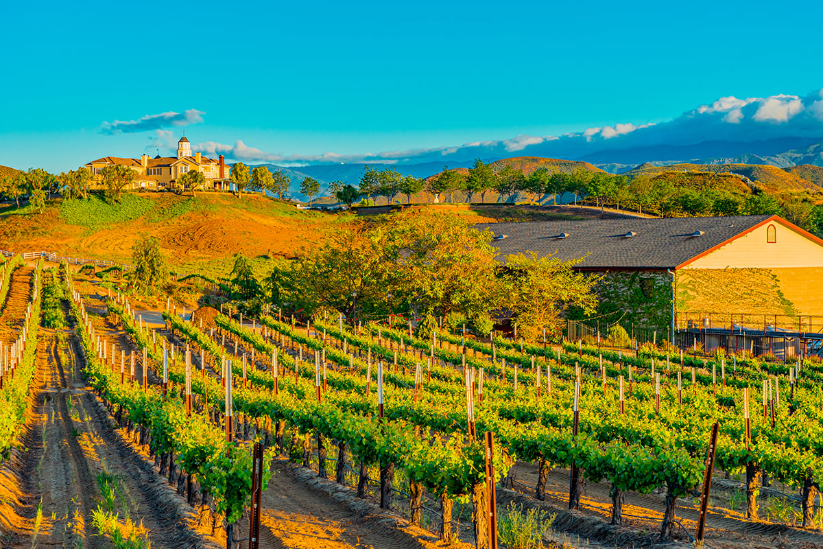 Short drive to Temecula wine country