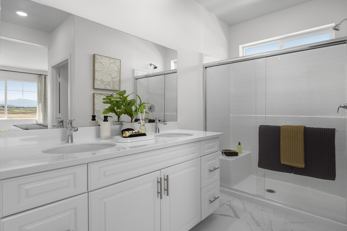 Walk-in shower at primary bath