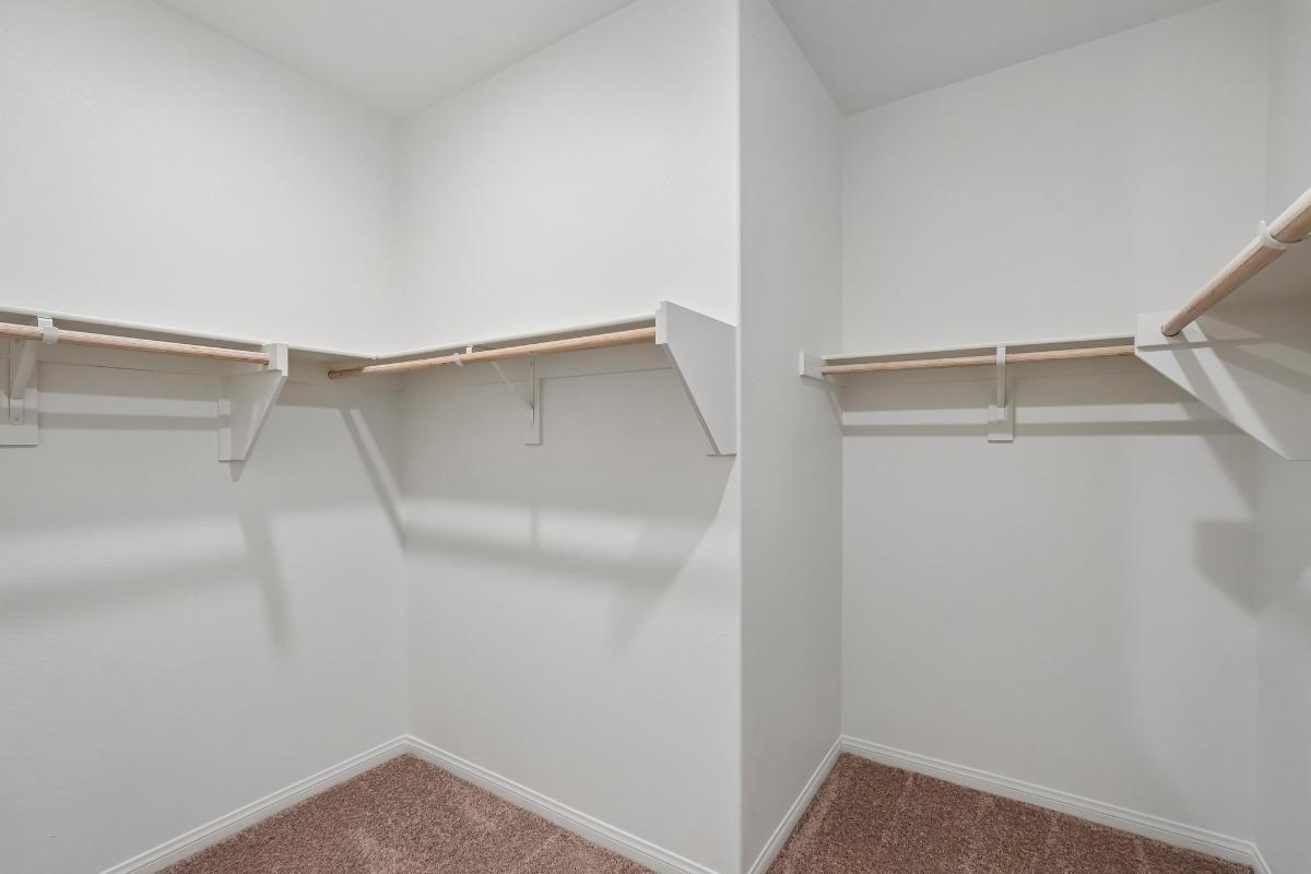 Primary walk-in closet