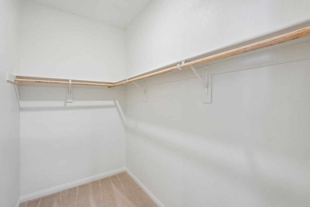 Primary walk-in closet