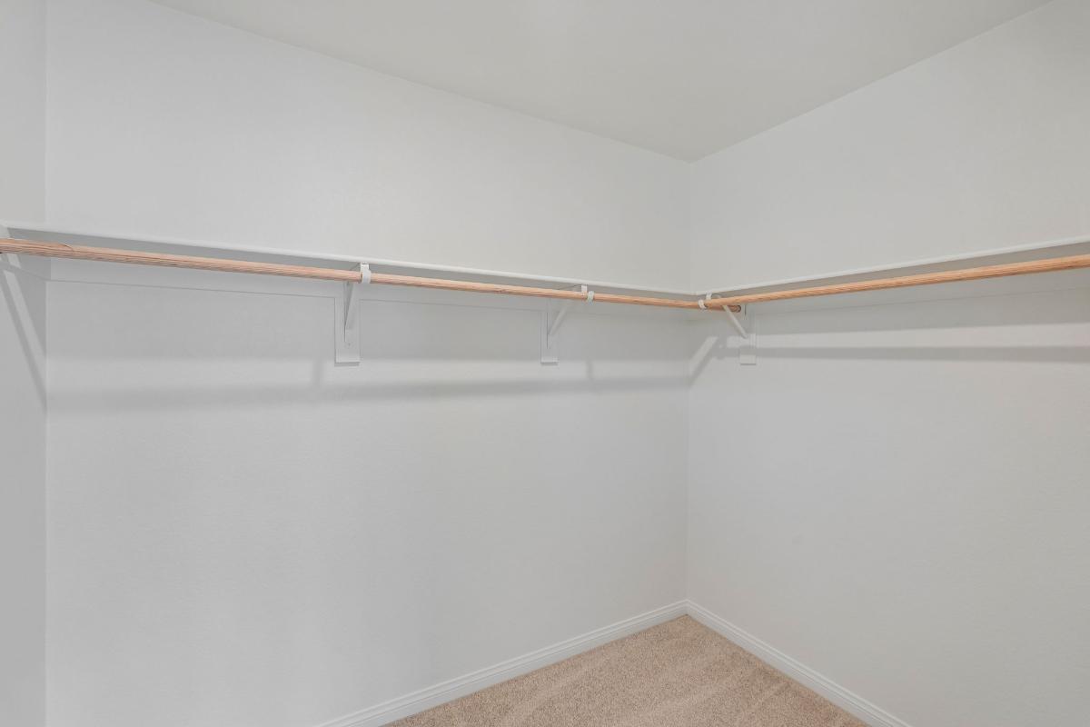 Primary walk-in closet