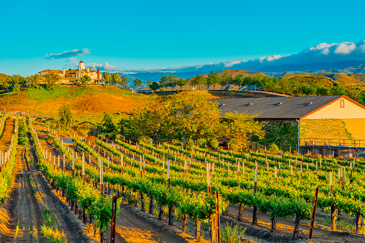 Short drive to Temecula Wine Country