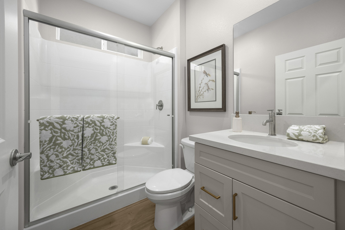 Walk-in shower at primary bath