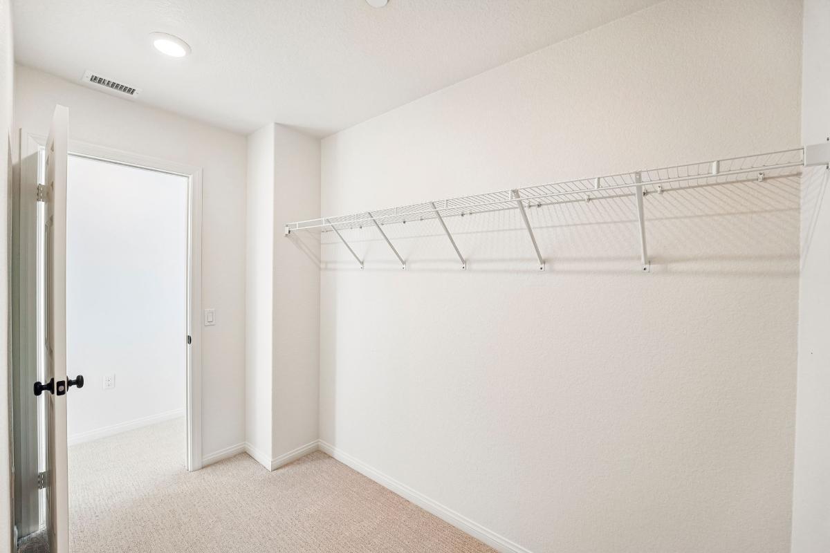 Primary walk-in closet