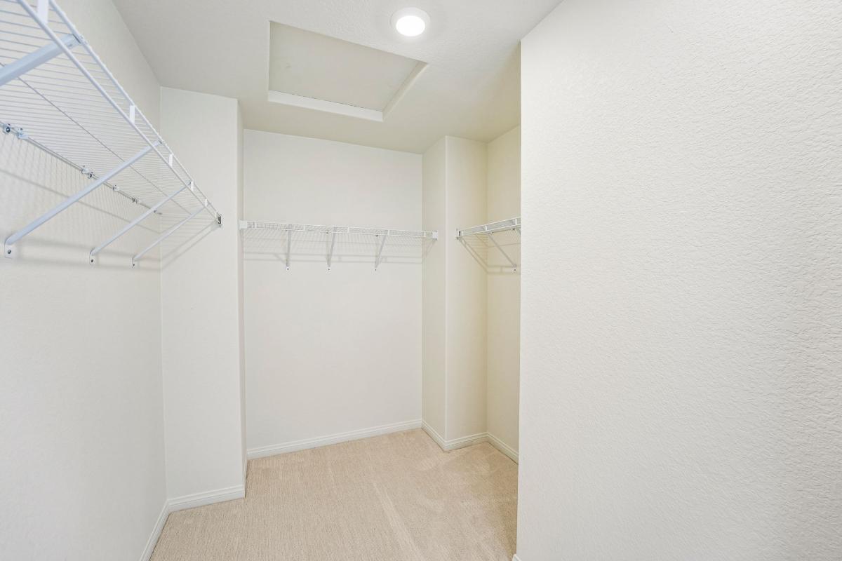 Primary walk-in closet
