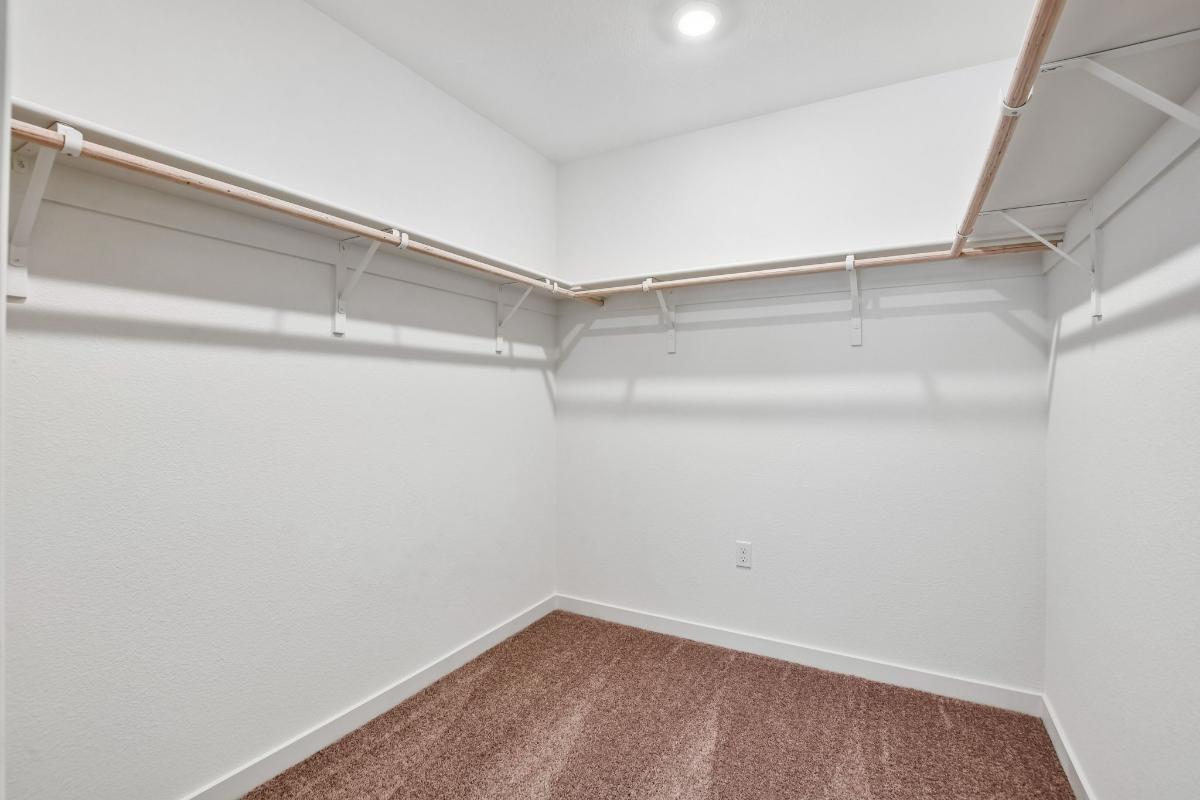 Primary walk-in closet