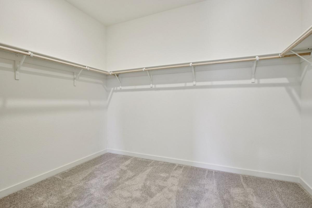 Primary walk-in closet