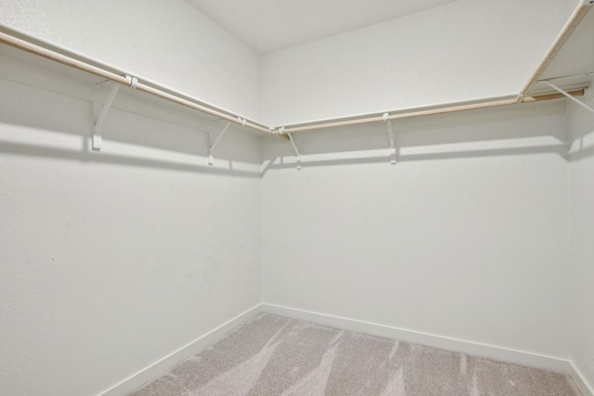 Primary walk-in closet