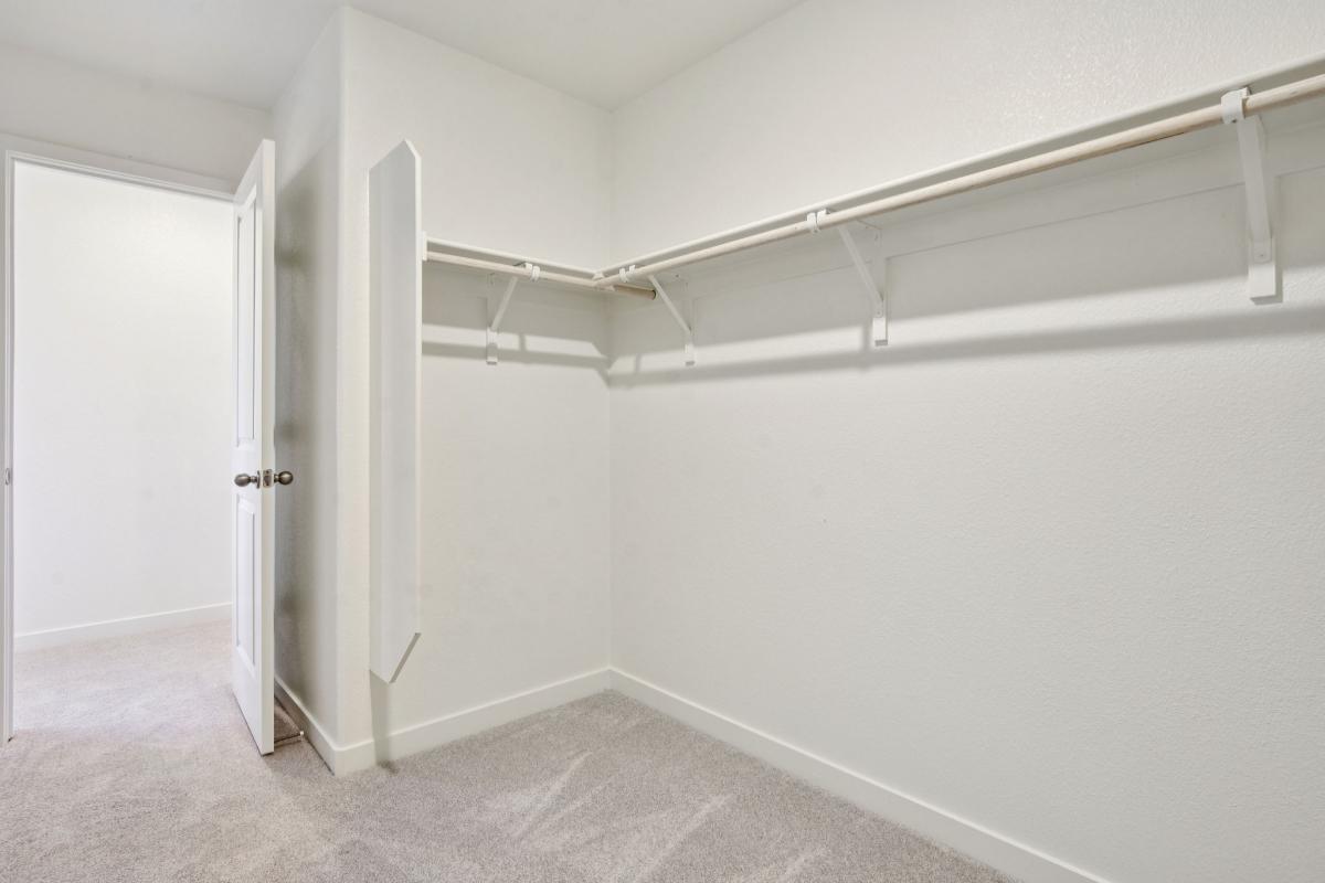 Primary walk-in closet