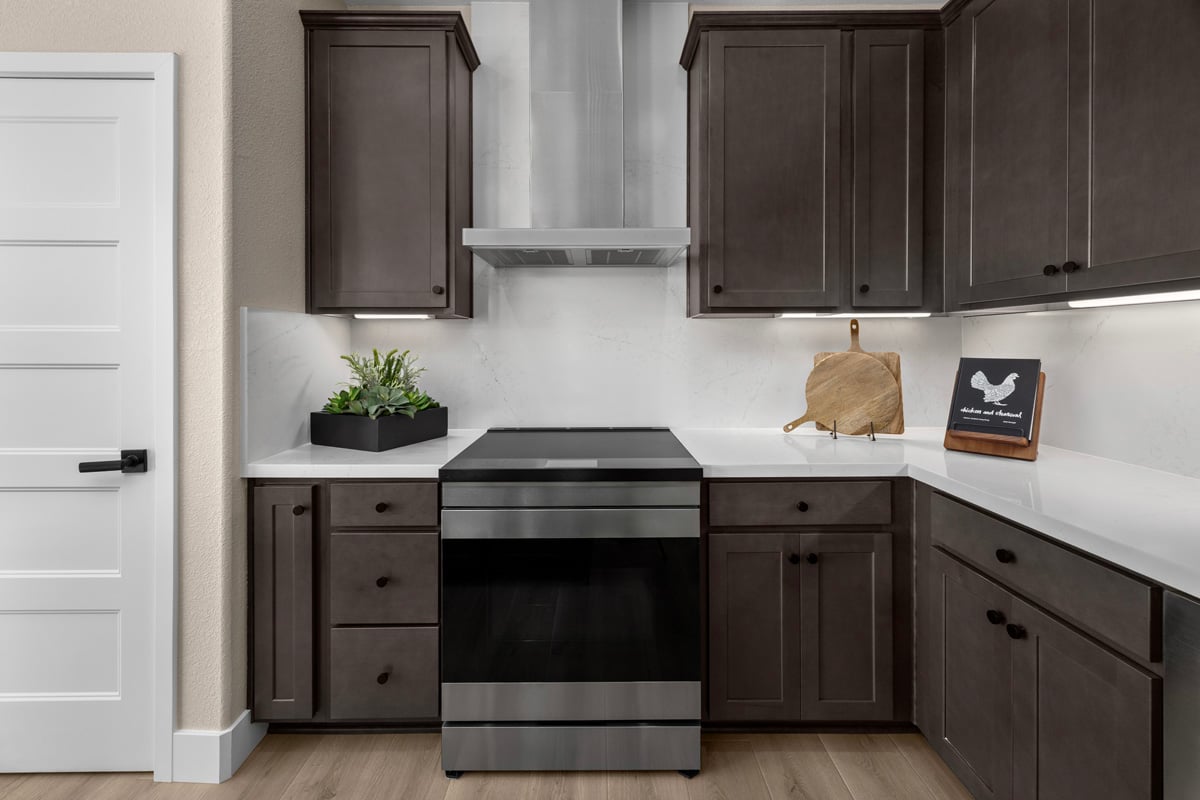 Wall-mounted hood and slide-in range