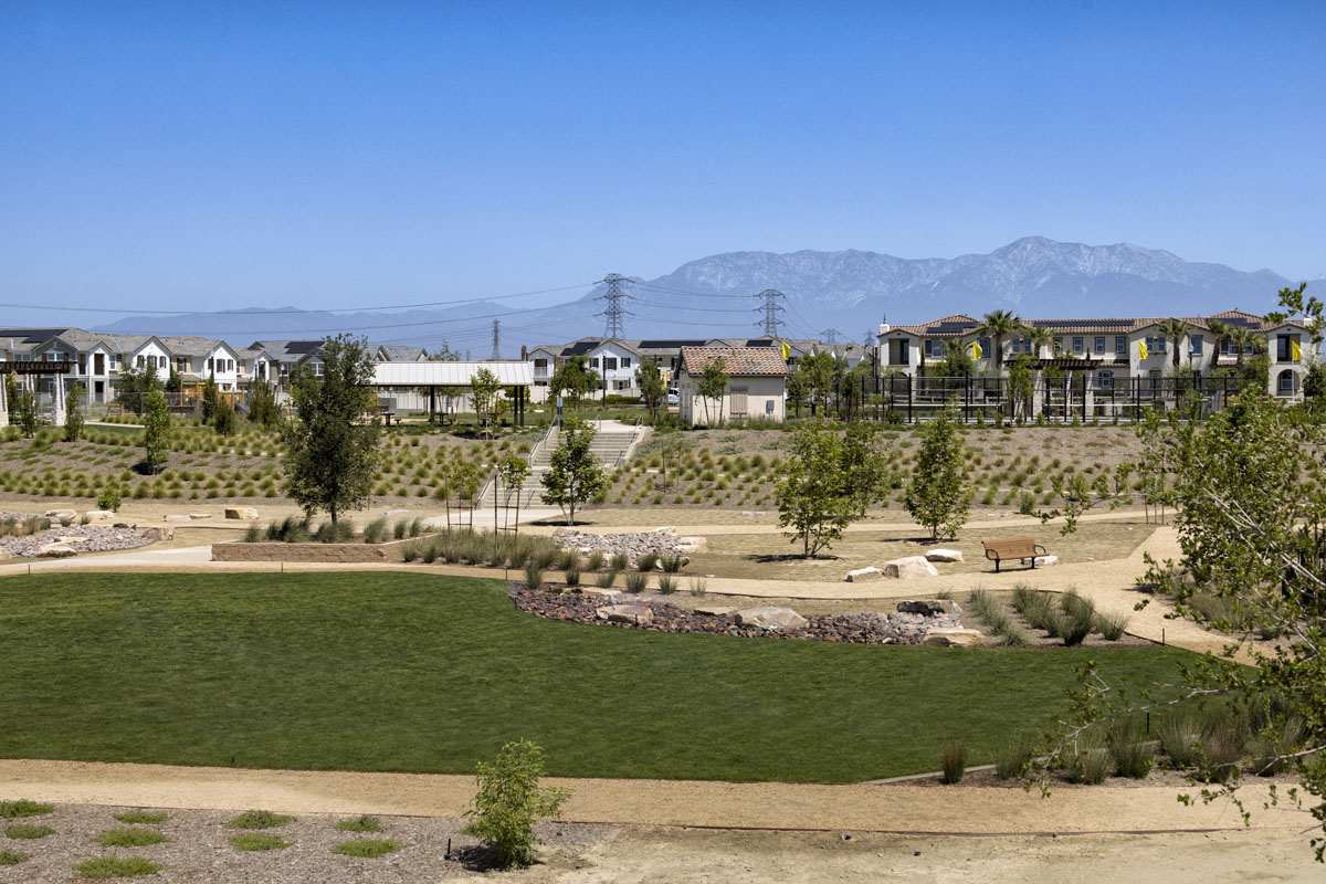 Community park