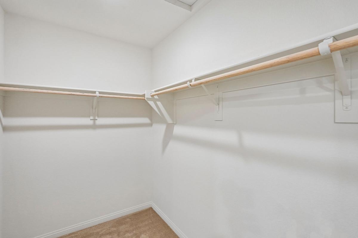 Primary walk-in closet
